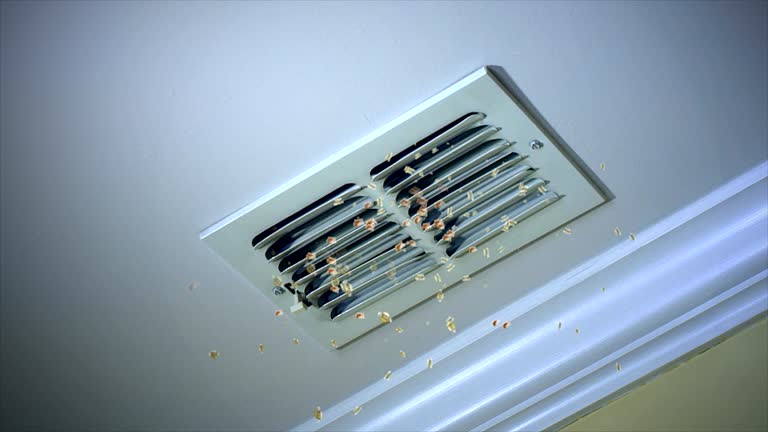 Ventilation Cleaning Services in Spirit Lake, ID